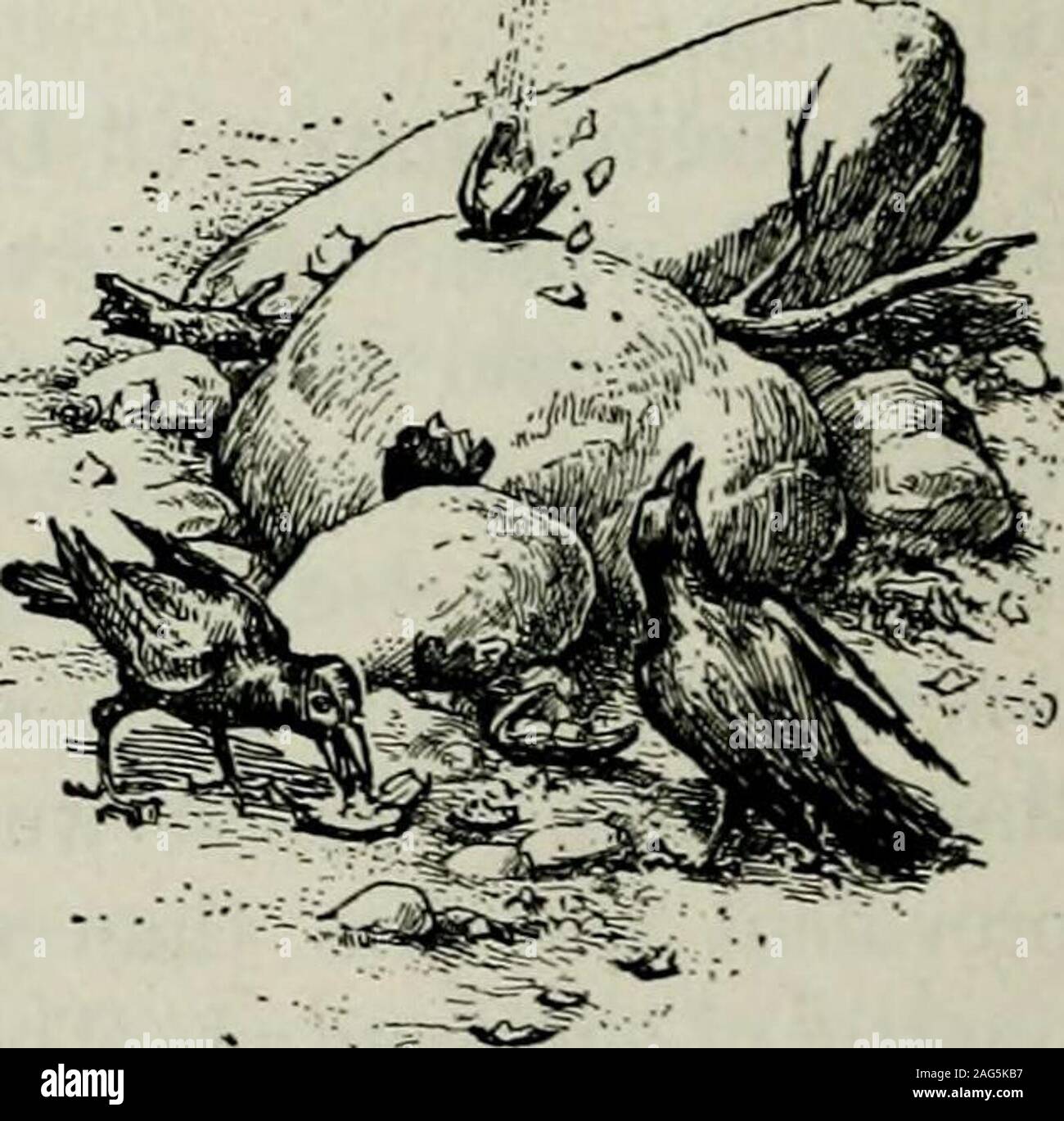 . Ox-giorni del team su Oregon Trail /da Ezra Meeker ; rivisto e modificato da Howard R. Driggs. condividendo la sua casa, che era vicina, ma fuori dangerfrom il vaiolo. Dio benedica i precedenti pionieri! Theywere tutti bene per noi, talvolta fino al punto di imbarazzare-mento, nella loro generosa ospitalità. Oliver doveva avere la cabina pronta da tempo Ireturned. Egli non solo non aveva fatto che, ma aveva takenthe barca e aveva lasciato alcun segno di dirci dove o brotheror barca potrebbe essere trovato. Non sapendo cosa fare, Ipaddled oltre alla città di Steilacoom. Lì ho foundout dove la barca e il Foto Stock