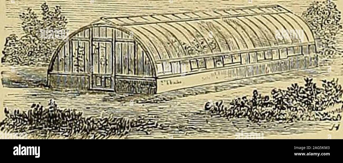 . I giardinieri' cronaca : un settimanale illustrato ufficiale di orticoltura e allied soggetti. SKTION DEL BREVETTO VENTILATORE DEL TETTO Hhiitratlfns, listini prezzi e Testimoiiiilsfree. Hot-acqua apparecchiatura fissata in qualsiasi parte del Regno e garantito. W. RICHARDSON & CO., orticole costruttori ^ Hot-ingegneri dell'acqua,DARLINGTON.. Il brevetto LASCELLES piegate WOODeONSER ^TORIES e serre -AllGardeners sapere che il legno ib meglio di ferro per crescere vegetali-ing e dal sistema di cui sopra una bella casa curvo può beerected come a buon mercato come un normale diritta. La casa di curva è più resistente e più forte, paglierino Foto Stock