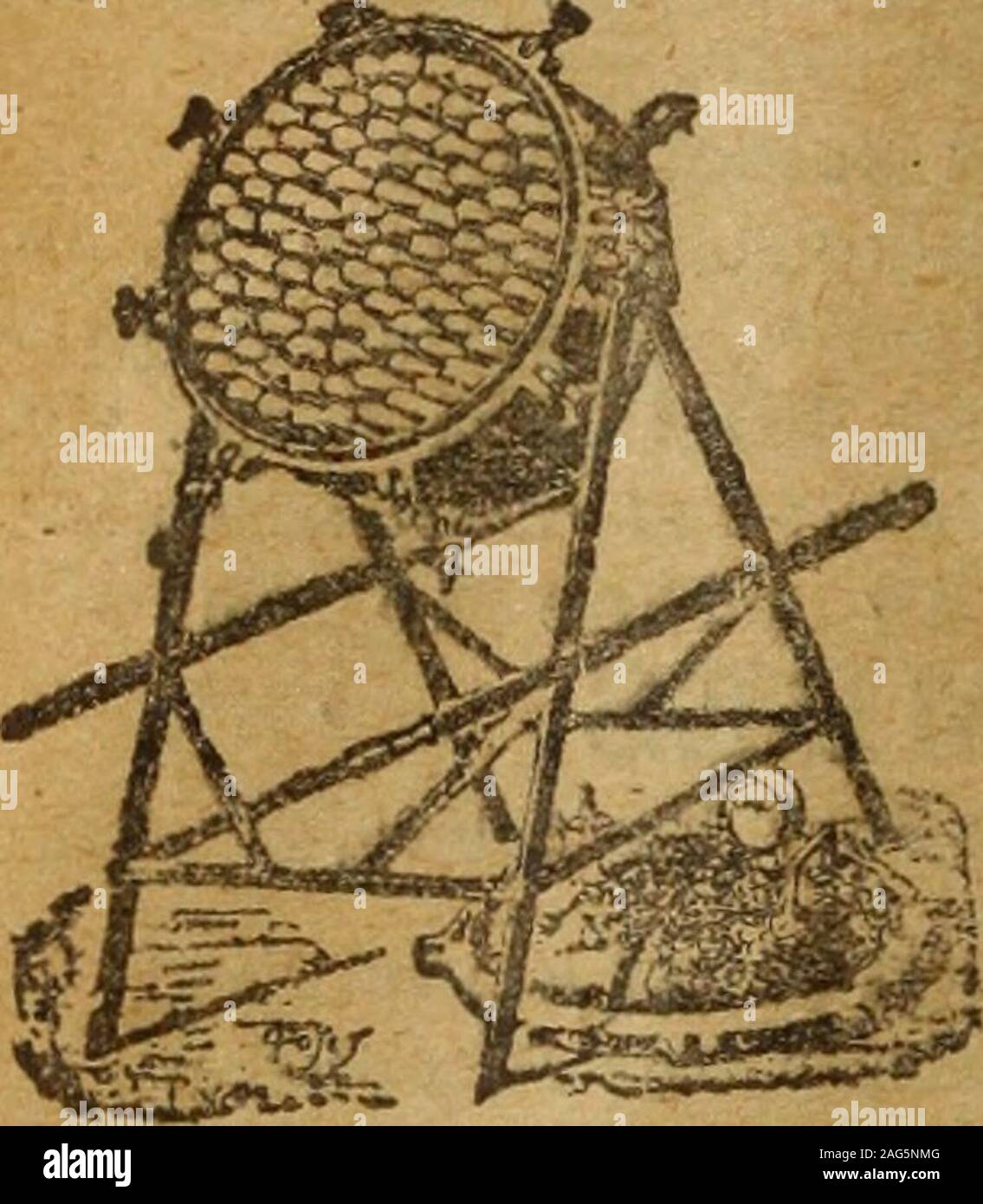 . La Revue de la viticoltura : Organe de l'agriculture des régions viticoles. moyenne de plus de lôO carri parjour complets de l'uvetta de table, destinés aux marchés importanti de la France et de lEtranger. Al avenir sulla piantatrice peut sans crainte pour remplir Les Caves de bon vin et pourproduire de beaux uvetta de la tabella qui enrichissent rapidement les propriétaires desterrains les plus ingrats. Alcune porte-greffes utilisés dans nos coteaux depuis 4 ou 5 ans seulement sontremarquables et se montrent très avantageux dans les plus mauvais terreni. -• REHSEIGHEMEHTS ET PRIX CONTRE DEMANDE AFFRANCH Foto Stock