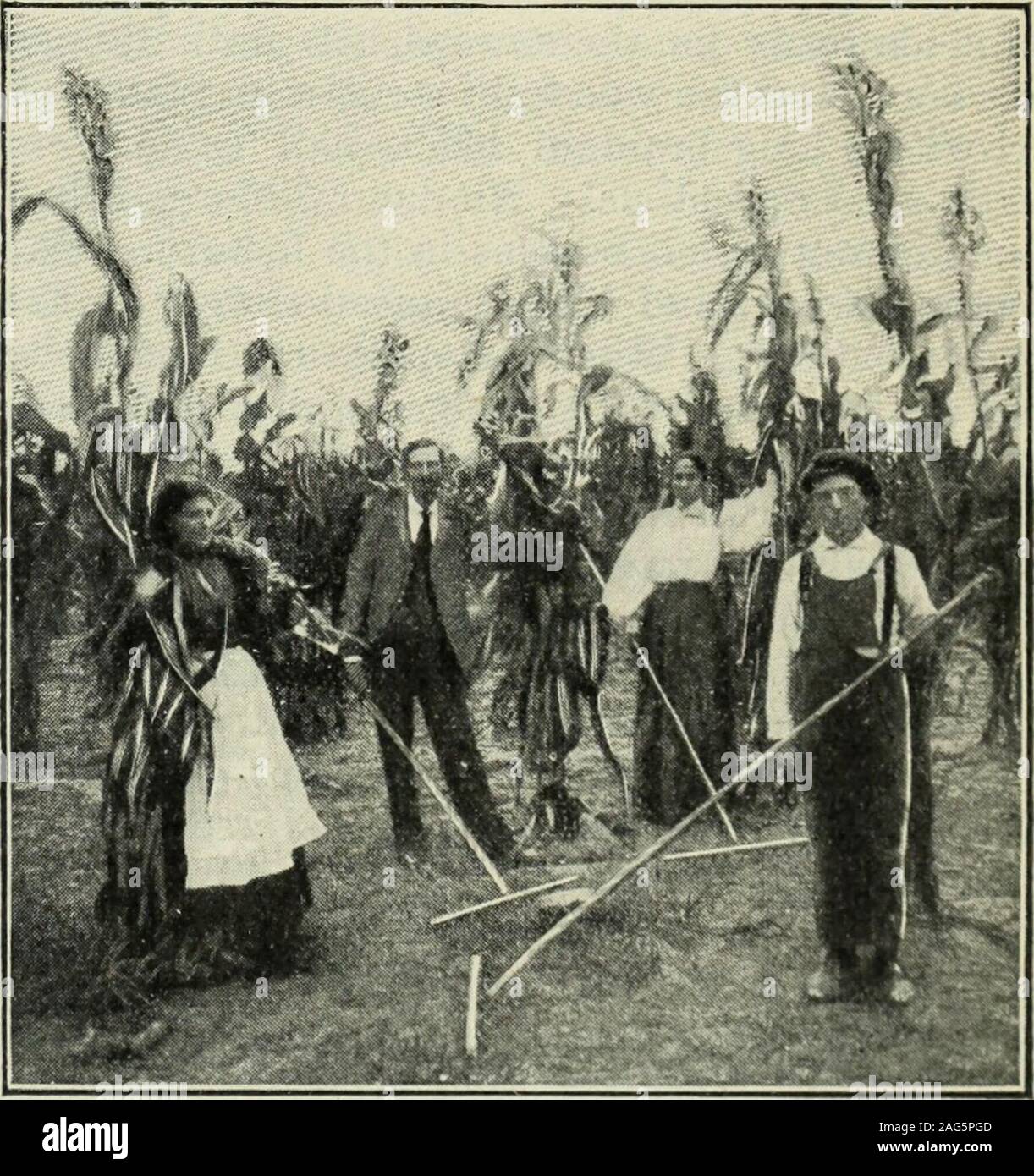 . Recensione di recensioni e mondo del lavoro. ripreso in contemplazione di thehouse. La partita non ha avuto alcuna possibilità. In secondo luogo era scavato. Qualche patata-vigne wereplanted, forse una pesca-tree. Vi erano thepreliminary segni di una recinzione. In terzo, ONU-der lo stimolo di un prezzo offerto dall'uomo-agement, un giardino è stato evoluto con, necessariamente,un recinto. A questo punto la patata divenne sud-denly un elemento. Essa aveva alimentato la famiglia thewinter prima senza altre spese di un littlescratching del terreno. Le sue possibilità loomedlarge. Il giardino divenne una fattoria su una piccola. Il suo proprietario applicano Foto Stock