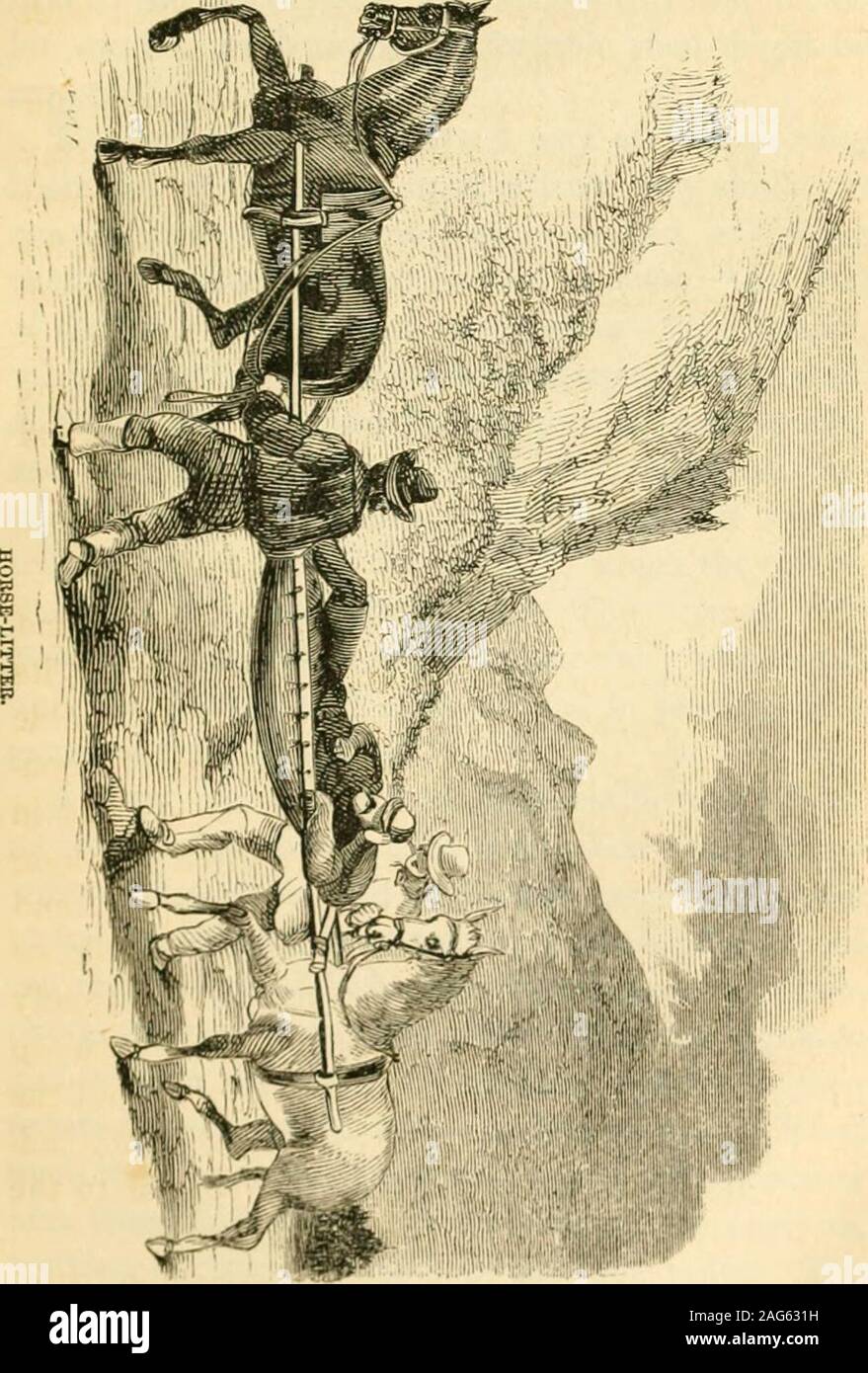 . Prairie traveler : una mano-libro per spedizioni via terra, con mappe, illustrazioni e itinerari delle principali rotte tra il Mississippi e il Pacifico. artments, a, ", forvarious scopi, e fatta velocemente verso il fondo del petto; c?, d sono coperchi apertura con cerniere; /(in figura B) è una gamba di legno, girando su una cerniera,e il montaggio di precisione tra due pezzi di woodscrewed sul coperchio. Cucciolate. Se una parte contraente in viaggio con animali da soma, andwithout ambulanze o vagoni, hanno uno dei feriti itsmembers o preso così male come essere vinableto passeggiata o andare a cavallo di una lettiera può essere co Foto Stock