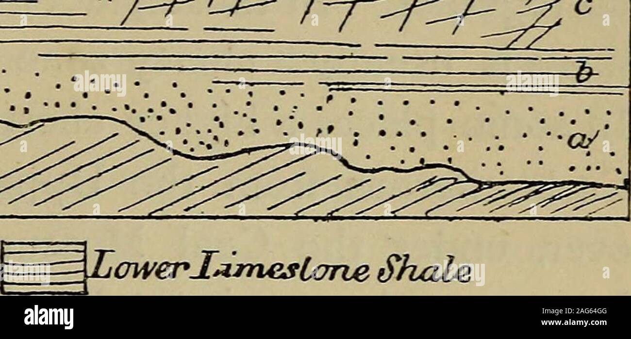 . Manuale di geologia dell'Irlanda. 1^7^^. 1,1, ho : Bwrrerv Lvmestorve = LowerJ^mestane tShale FenesteUcv vecchia arenaria rossa diagramma che illustra le modifiche apportate dalla riva-letti nel Carbonifero calcare. sviluppato ; se noi ad eccezione di quelli menzionati in precedenza e inTyrone Fermanagh. Una classificazione generale delle rocce theseMunster può essere dato, per il quale le rocce in therest dell'Irlanda può essere indicato. La tabella di classificazione del inferiore rocce Carbojiiferoits ofLimerick e Kerry. 4b. Calcare superiore , Bedded calcari, avente in luoghi inliers del Burren J di arenaria o scisto. tipo Foto Stock