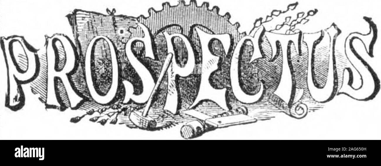 . Scientific American Volume 33 Numero 01 (luglio 1875). Ione, sotto gli auspici dell'Istituto di meccanica di San Francisco. Produttori, meccanica, e gli altri sono consigliati chela sopra mostra sarà aperto a San Franciscoon il Hth giorno del mese di agosto del prossimo e continuare ad aprire almeno un mese. Il consiglio di amministrazione invita tutti coloro che hanno desiderio di exhibitto inviare nelle loro applicazioni per lo spazio, senza ritardo, ALMR. J. H. CuLVEK, segretario, 27 Post San, San Fkan-cisco, Cal. , Che provvederà prontamente a rispondere a tutte le domande. 700.000 persone provenienti da tutte le parti del Pacifico, visitedthe ultima mostra, per vedere il wha Foto Stock