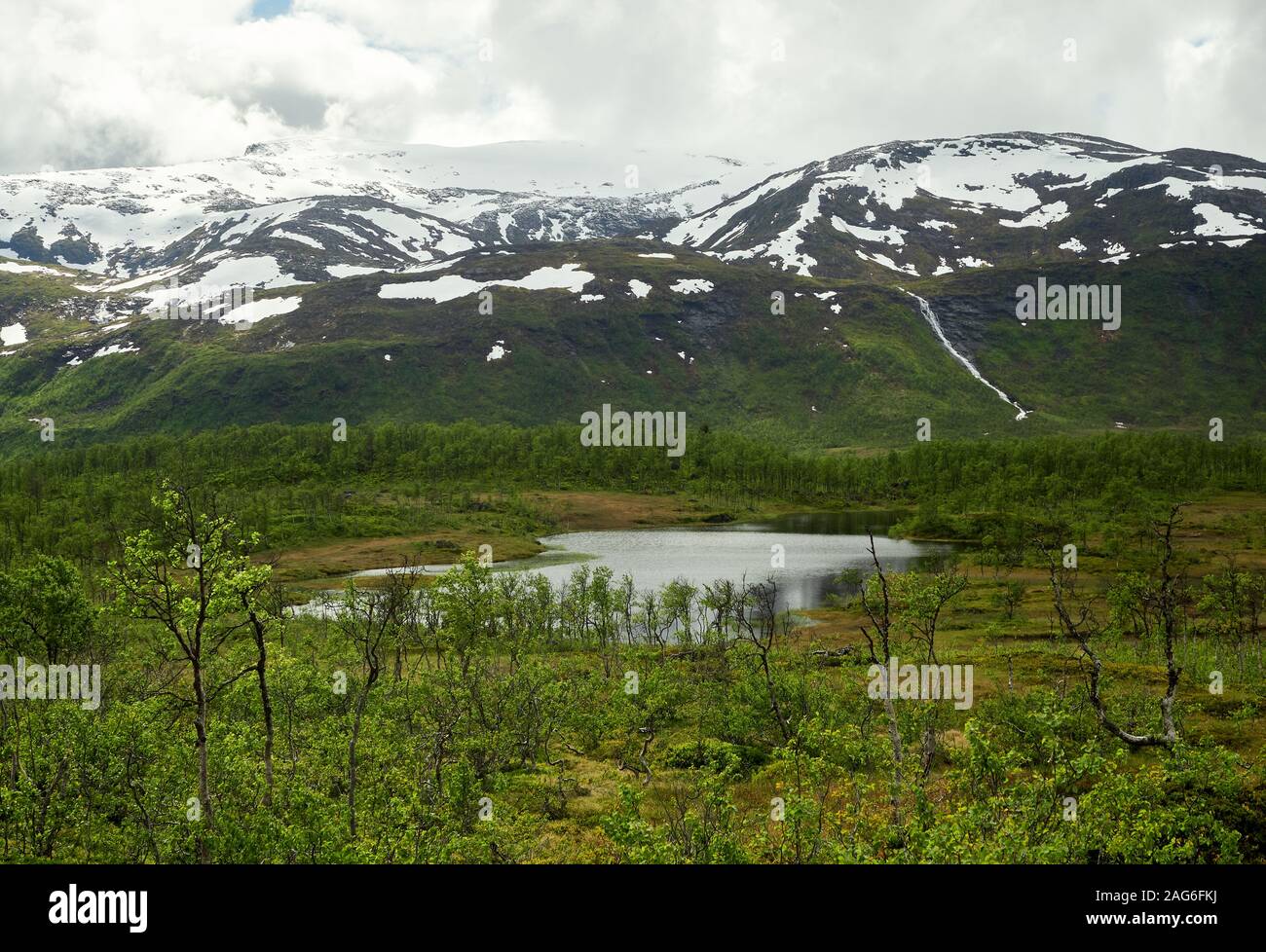 Estate settentrionali paesaggio con montagne, foresta al primo piano e picco di montagna sullo sfondo. Senja Isola, Troms County, Norvegia. Foto Stock