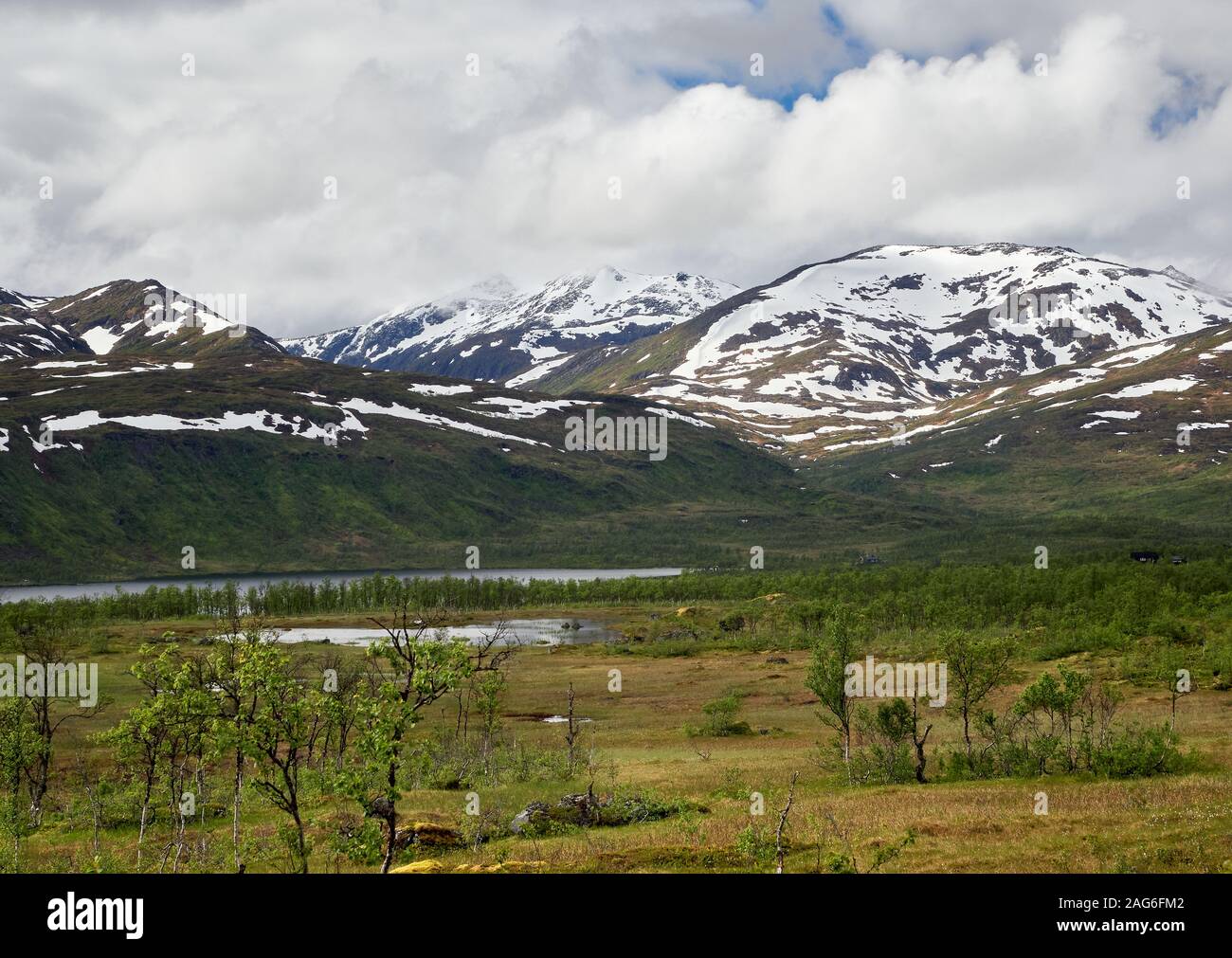 Estate settentrionali paesaggio con montagne, foresta al primo piano e picco di montagna sullo sfondo. Senja Isola, Troms County, Norvegia. Foto Stock