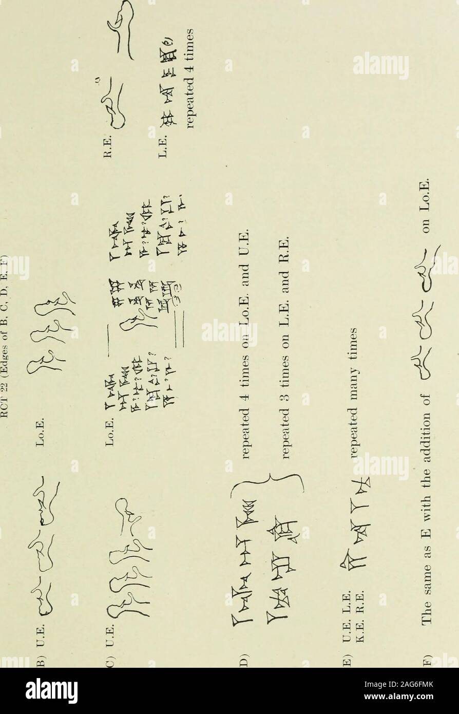 . Il giornale americano di lingue semitiche e letterature. 226 American Journal of semita Languagesrct 22 (a,r, c, d, e, f, g, h) Bordi di RCT 22(A) Compresse da R. Campbell Thompson Collezione 227. 228 Il giornale americano di lingue semitiche ft s ft .2 Foto Stock