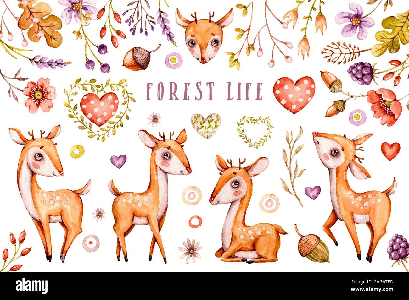 Carino baby deer, foresta fiori, foglie. Vivaio set animale. illustrazioni isolate per i bambini. Bohemian acquerello boho wild famiglia disegno, waterco Foto Stock