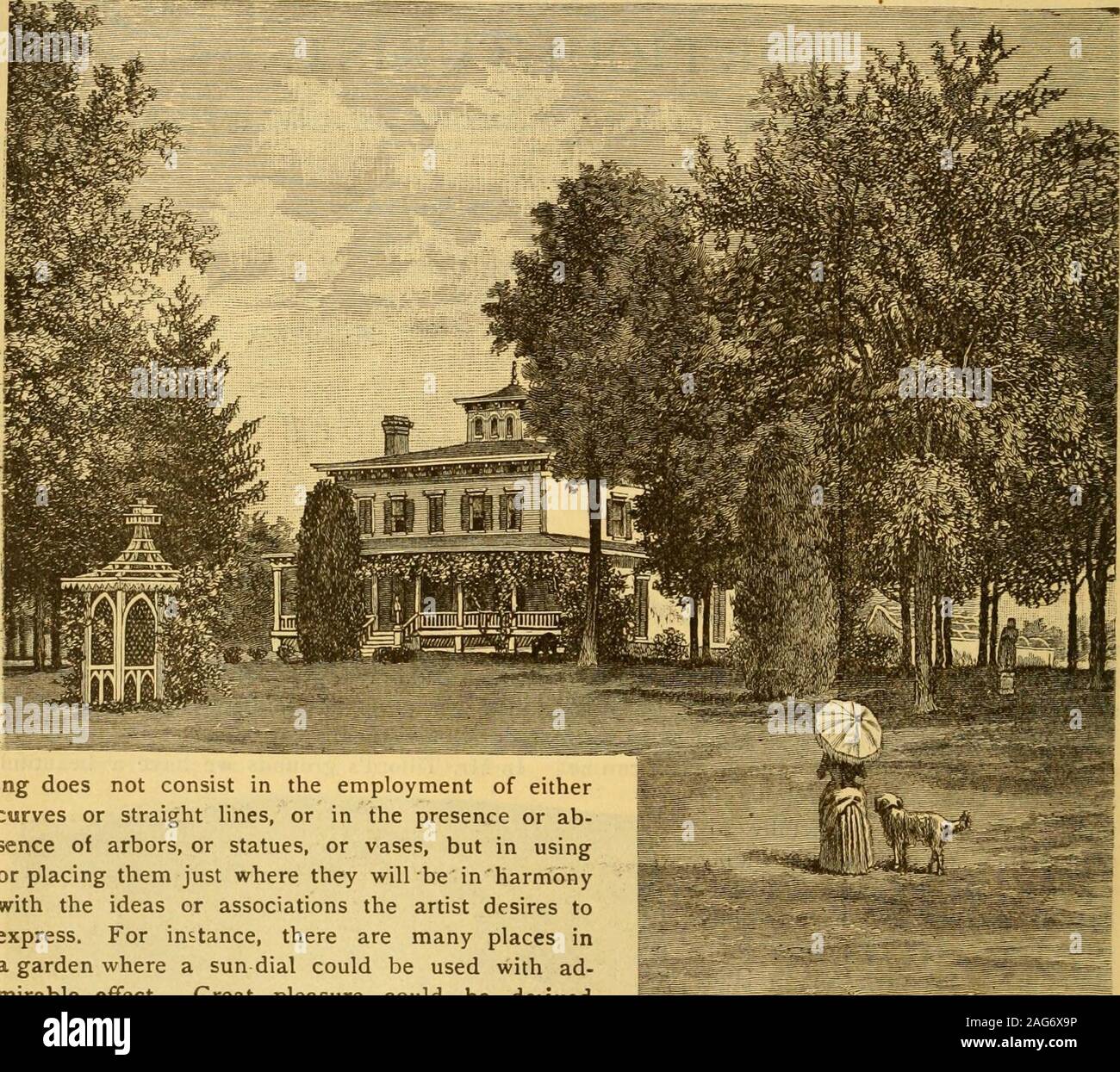 . Il Giardiniere mensile di un giardiniere e. Passeggiata ombreggiata, J. M. Tilfords Residence. 34 I giardinieri mensilmente [febbraio, avenue, ombreggiato da olmi, che come un goodobject alla fine, è singolarmente eflfective. Una delle principali caratteristiche di questi motivi è il gooduse delle artificiali in connessione con il naturale.Estate case, mandrini, statue e rustico seatsabound. Infatti, la vera arte in giardino paesaggistico- materiale ol verniciati dello stesso colore del legno,al fine di preservare il suo aspetto rustico. Nella realizzazione di queste case deve essere rememberedthat sono per servire come ritiri durante caldo weath- Foto Stock