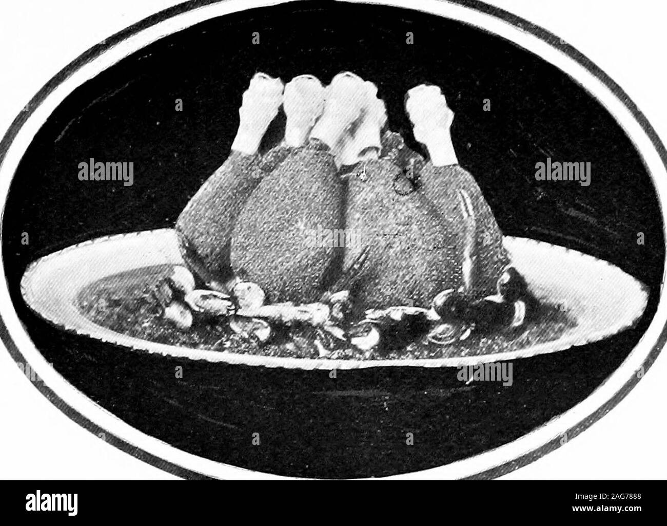 . Recherché entrées : una raccolta delle ultime e più piatti popolari. boihng acqua, andcook in un vivace forno per circa 45 minuti. Ruotare outon ad un piatto caldo, pour round alcuni hot demi-glace orMadSre salsa e servire. Tartelettes de ris de vitello aux TrufiEes.(Sweetbiead canapes con tartufi.) Ho grandi o 2 piccoli animelle, ho giU supremo o AUe-mande salsa, ho table-cucchiaio di parmigiano grattugiato,I oz. burro, J pinta ricca stock, 8 conserve di funghi, lb. sfoglia di pasta, 2 tartufi, il pane grattugiato e pepe, sale, andnutmeg. Blanch, rivestimento e cuocere le animelle in stock tilltender ; il magazzino M Foto Stock