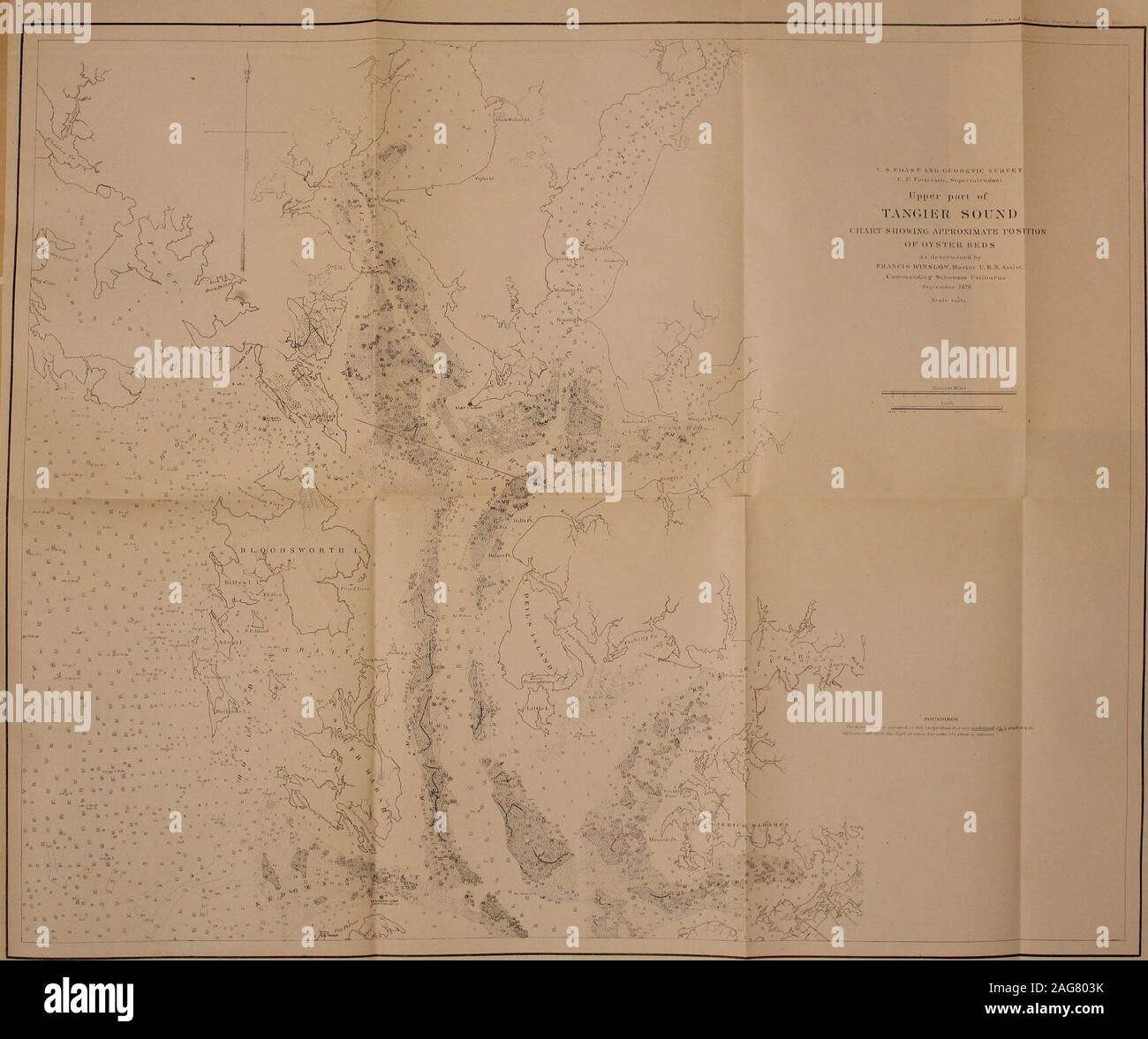 . Metodi e risultati : Relazione sulle ostriche del fiume James, Va. e di Tangeri e Pocomoke suoni, Maryland e Virginia. 46. 47 Foto Stock