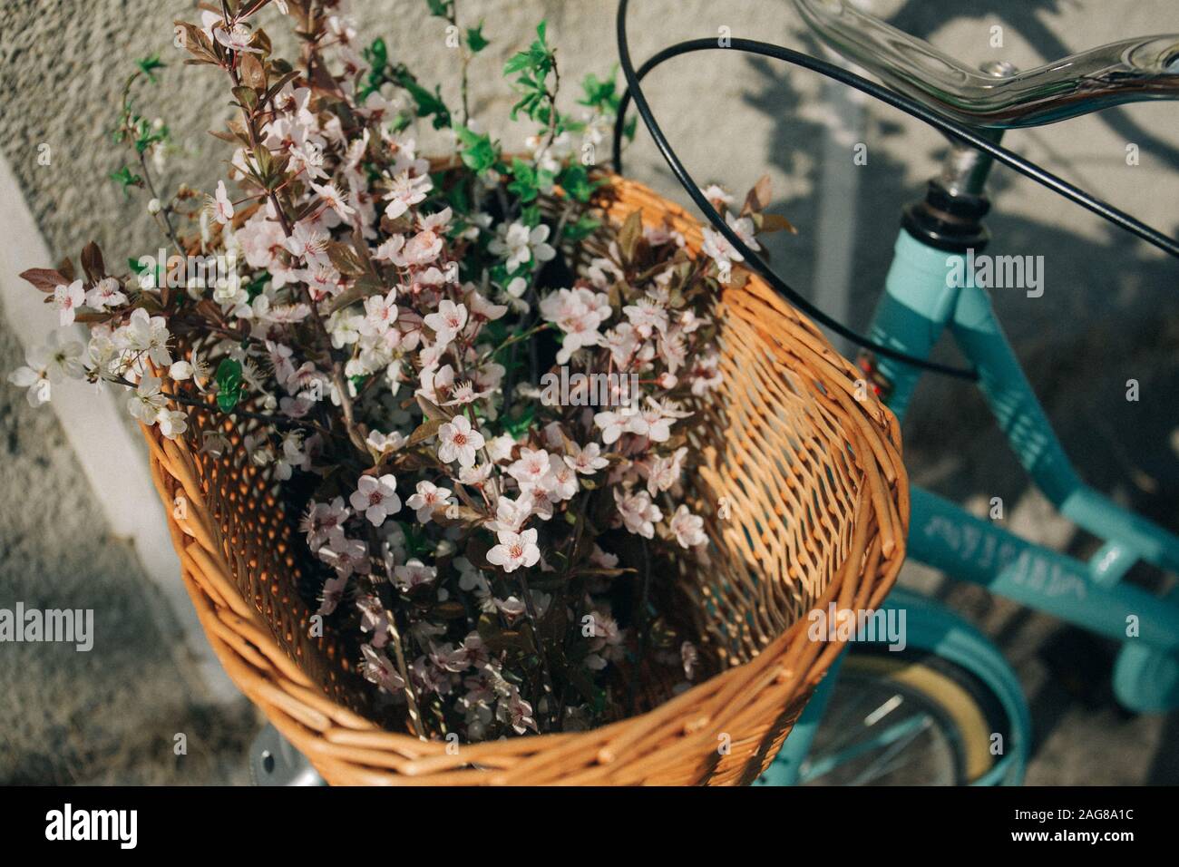 Foto ad alto angolo di bellissimi fiori rosa in un marrone cestello collegato a una bicicletta Foto Stock