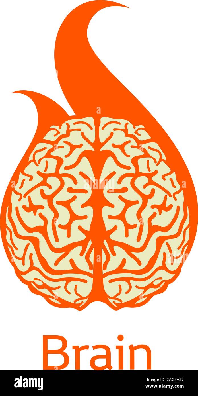 Isolate il vettore colorati cervelli. Logo medico.Scientifico logo. Neurobiologia arancione emblema. Immagine di intelligence. Cervello umano illustrazione. Un grafico Illustrazione Vettoriale