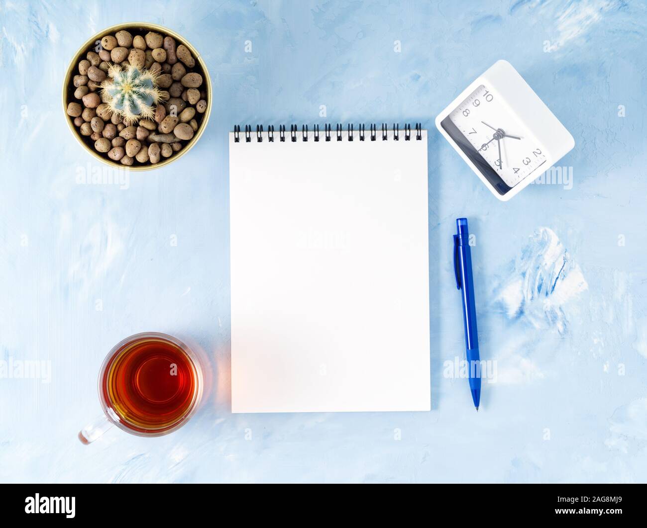 Vista superiore del moderno luminoso blu office desktop con notepad, orologio, un fiore succulenti. Mock up, spazio vuoto Foto Stock