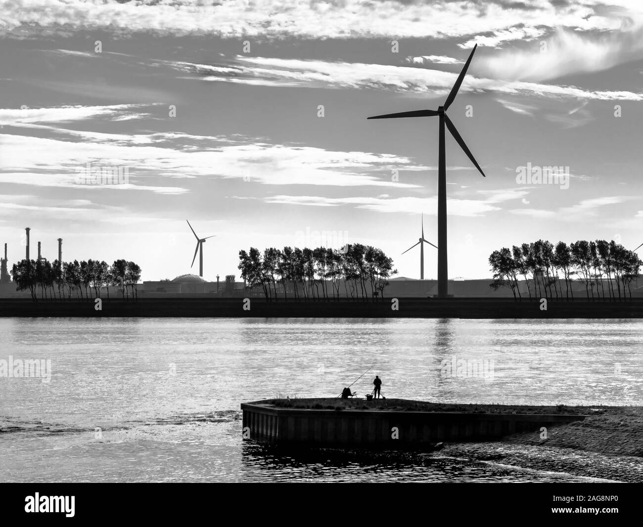 Solo pescatore nel porto di Rotterdam Foto Stock