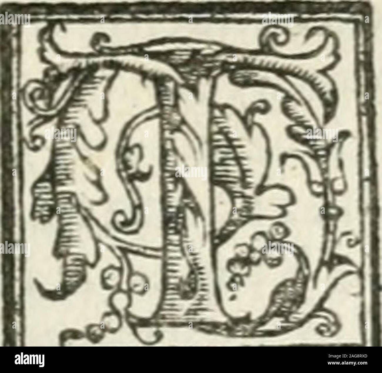 . Le imprese illvstri : con espositioni et discorsi. Ra quante marauigliofc opcrationi della Natu-ra,veggono gli occhi, ò intédono lorecchie uma-ne qua "giù in terra, non fo fé ve ne fia alcunamaggior forfè di quella del Camaleonte animai terre-no, il qual viue per lungo tempo, fenza mai pren-, der cibodalcunaforte, fé non daere, òdi vento, vieni e torzaà credere, &mafsimamente vedendolo itar di con-rinuo con la bocca aperta. Di quefto animaletto fcriue Ariftotelc vn particolarintero-ca pitolo, che è rvnde(.imo del secondo libro de gli animali. Il qualCapitolo è tradotto quali di parola in parol Foto Stock