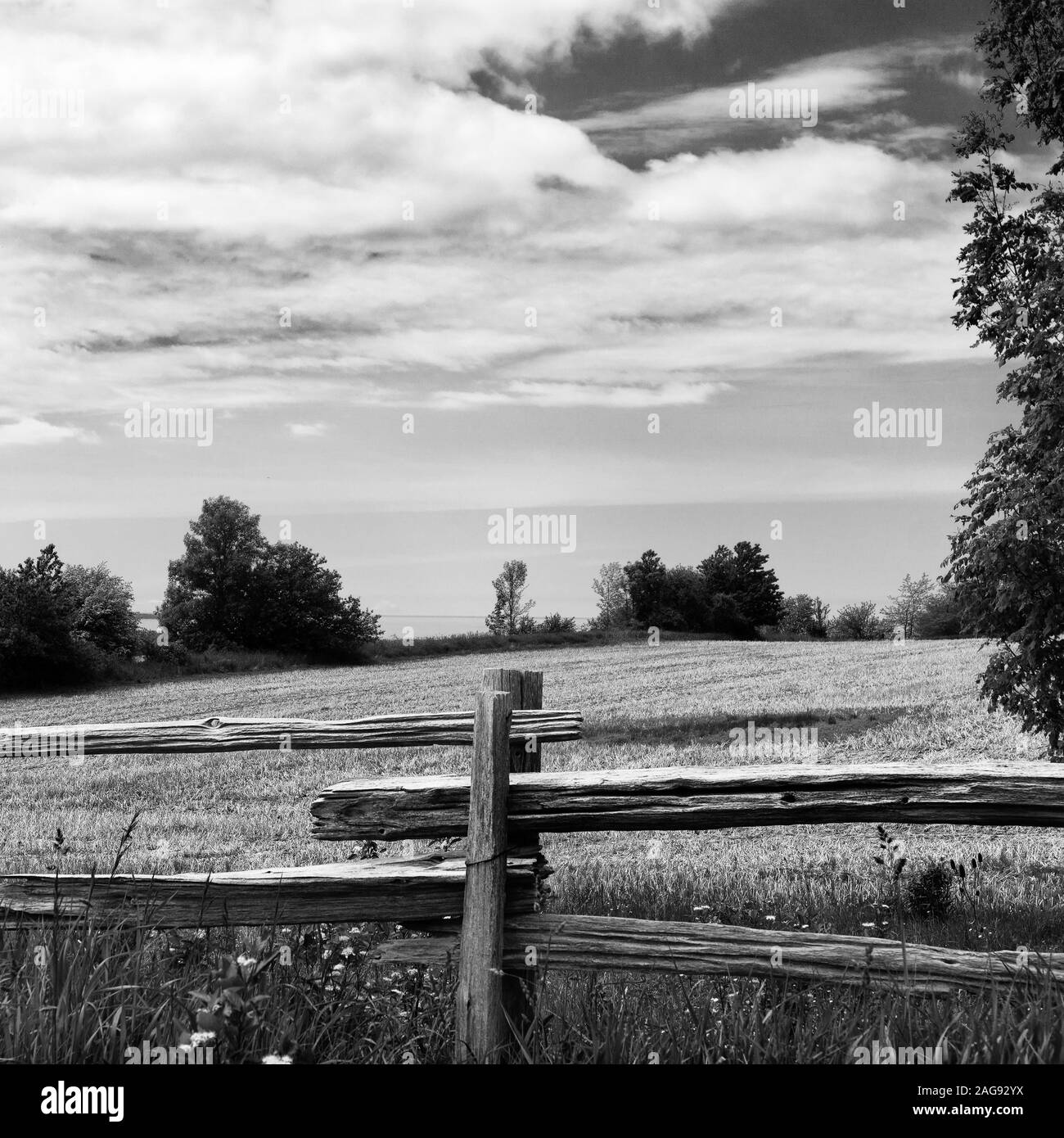 Canada Ontario parco agricolo a Montagne Blu a Collingwood Foto Stock