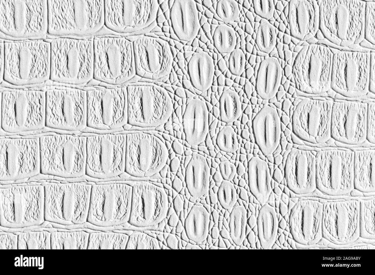 Bianco in pelle di coccodrillo texture. Sfondo astratti per la progettazione con copia spazio per un testo. Monocromatico. Foto Stock