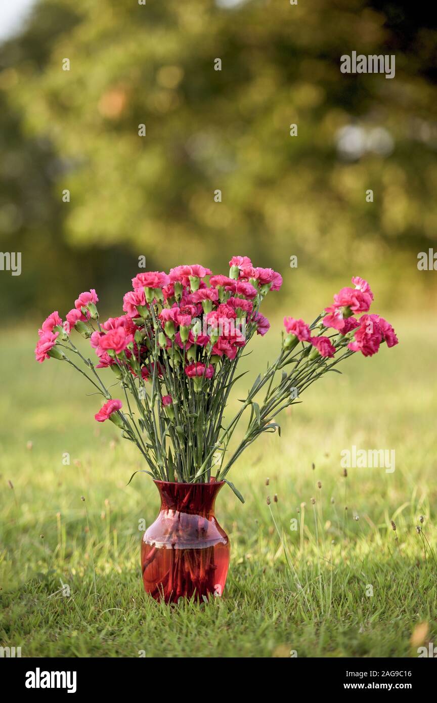 Colpo verticale di fiori rosa in un vaso di vetro sopra un campo erboso con sfondo sfocato Foto Stock