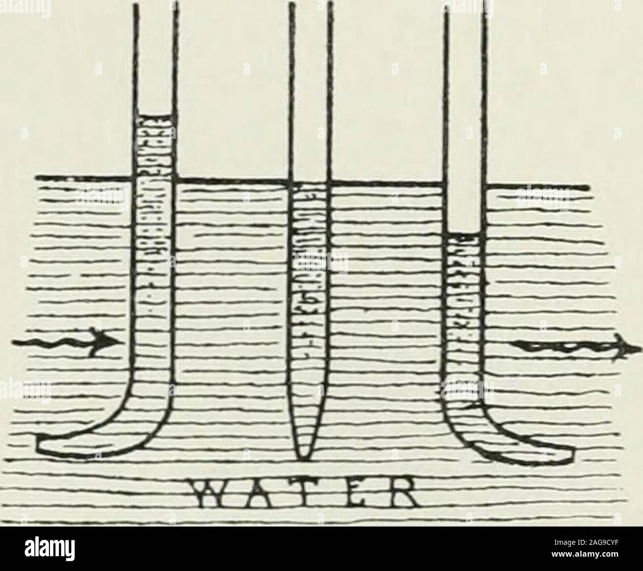 . Sanità pubblica e medicina preventiva. f la lunghezza misurata supera l'estremità inferiore, m la profondità hydraulicmean, / la lunghezza misurata e / il coefficiente di attrito. Quindi, asA e V sono noti, I), il discarico, è AxV. Un altro metodo in cui un apparecchio meccanico viene impiegato è quello del rheo- metro. Essa è simile a quella di anemometro utilizzatinell determinando la velocità di aria di ventilazione currentsin (p. 130). Il hydrometricpendulum può essere utilizzato, la deflessione beingnoted. Tubi Pitots (Fig. 119) ascertainthe velocità del fiume. Essi sono tubeswith una estremità piegata ad angolo retto per therest, sia e Foto Stock