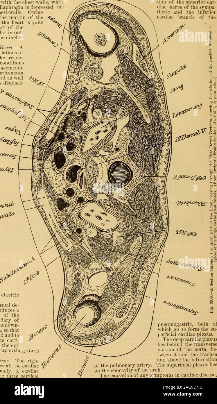 Un manuale di riferimento delle scienze mediche : abbraccia tutta la gamma  di scientifici e pratici della medicina e scienze affini. l'uso di  spostamento.Vi è di solito morefluid quando il diritto