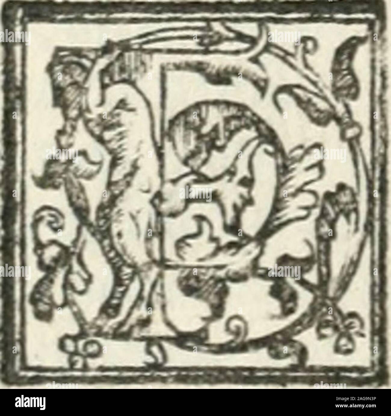 . Le imprese illvstri : con espositioni et discorsi. 3 R A le molte belle cagioni, perle quali/ì pu ò farj giudicio, che quefta bellifsima profefsion del-rimprefe fiaora,& fìa perefTerdi continuo infommo pregio, fi deue metter queftuna per prin cipale di , cioè che in efia le dóne dalto valore pof-fono gloriofamente moftrar la viuacità dellinge-gno, oc la grandezza del bellanimo Loro Parque, non meno che fi poffaniareglihuomini ,i quali pare che nelle cofcpregiate sabbianocometirannefcamente vfurpata la maggioranza. Che per efler ledonne per ordinario di più delicata, & gentil complersione,shanno gli Foto Stock
