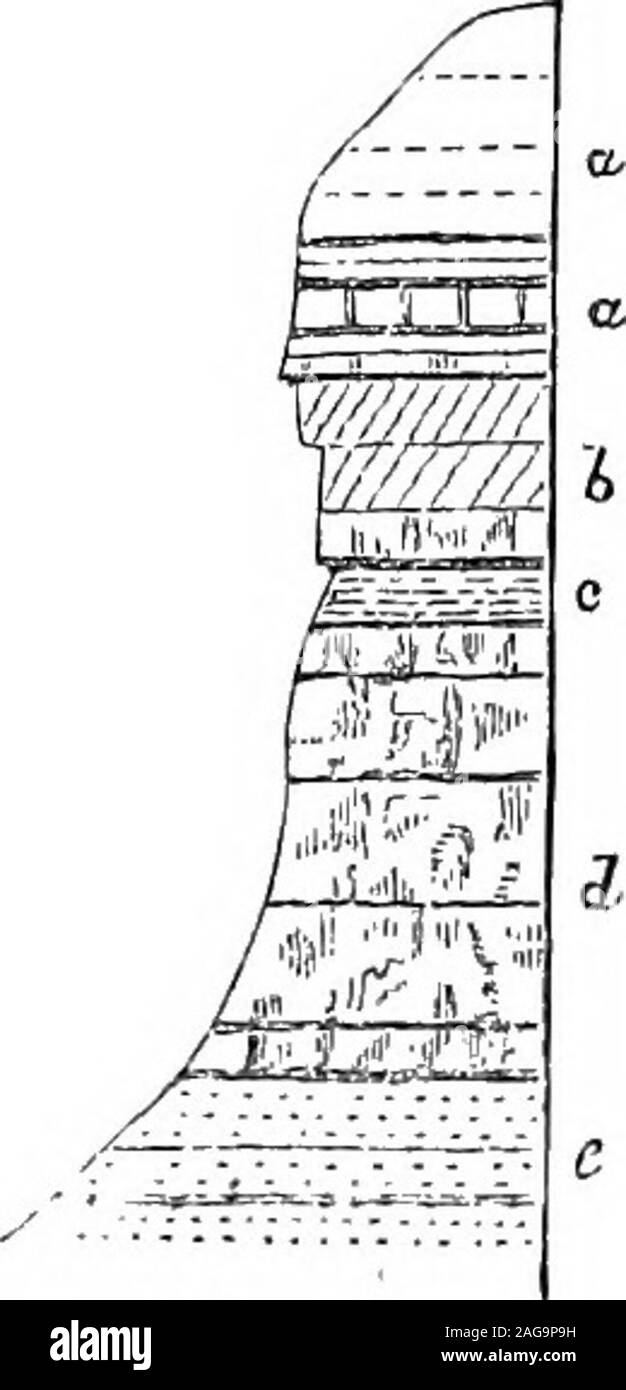 . La geologia di parti del Wiltshire e Gloucestershire, (foglio 34). , E nella profonda talee del grande WesternRailway nella Golden Valley. L'inferiore Oolite frequentlyforms speroni di tabulati delimitata da bruschi di banche che areplanted con faggi e pini; di tali ci sono goodexamples Slaughterford in valle. Le seguenti suddivisioni jnay essere osservata in questo quartiere,e può essere distinto sia dal litologica e fossilcharacters:- Oolite inferiore. Rodborough comune. Ragstone superiore. (Clypeus grinta.) rubbly grossolana oolite bianco, withTerebratula globata, Clypeus, Serpula .   Rag inferiore Foto Stock