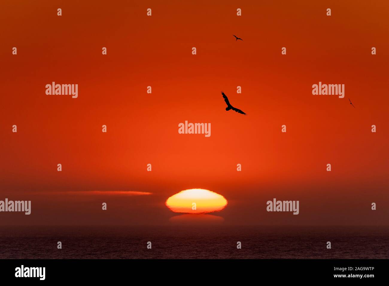 Tramonto, Latrabjarg, Westfjords, Islanda Foto Stock