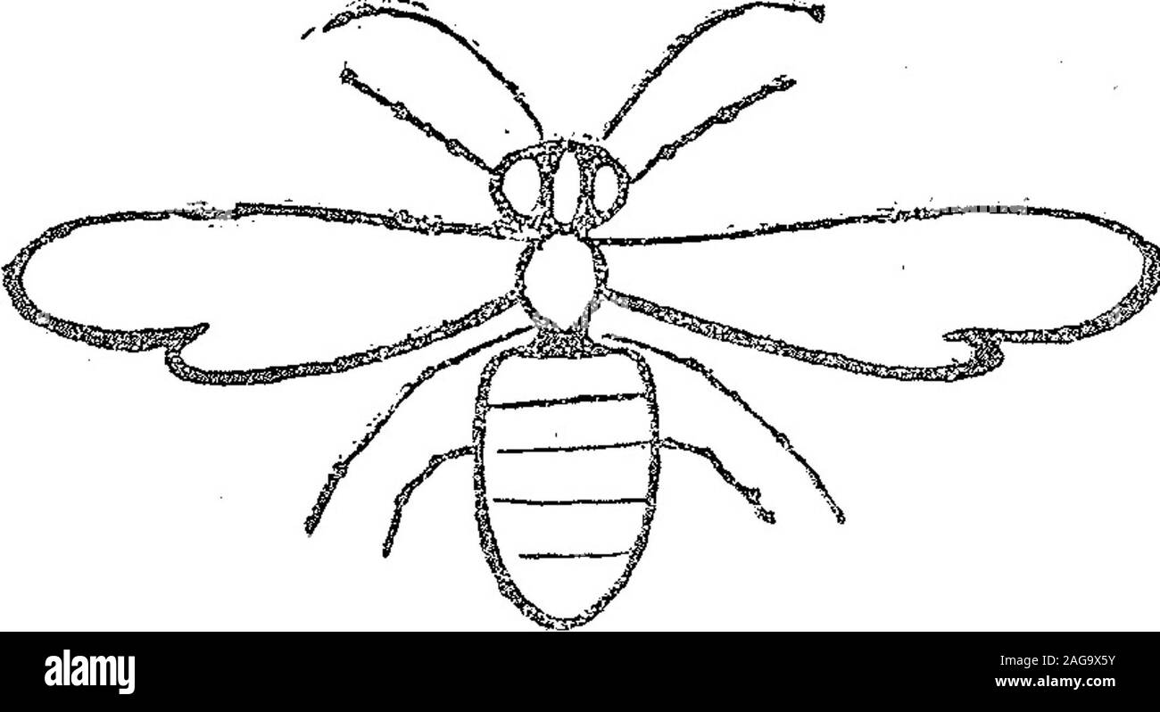 . Boletín Oficial de la República Argentina. 1917 1ra sección. Febrero 14 de 1916. - García Hncs. y Cí¡. - Sirstanclas aimenticias oempicadas corno ingredientes en la -aü mentación de li ciase 22 (modificada^. • * ? V-20 ma-zo. Acta N° 55142. [ Septiembre 2/ de 1915. - .La macchina DavisSevoiag C°. - Para distinguir¡ir.áqumas y aparatos para toda clasede industrias, comp:endidas en otrasciases, parte-; ce come nbnrs, acceso-rios y complementos para bucear, fii-ít:ar. Máquims, aparato., e in p.ementosde rgdcutura. avicultura, apiádame, pis-cicultura, leche, í , vit vjiiic d.u:a y sel-vicutura, Foto Stock