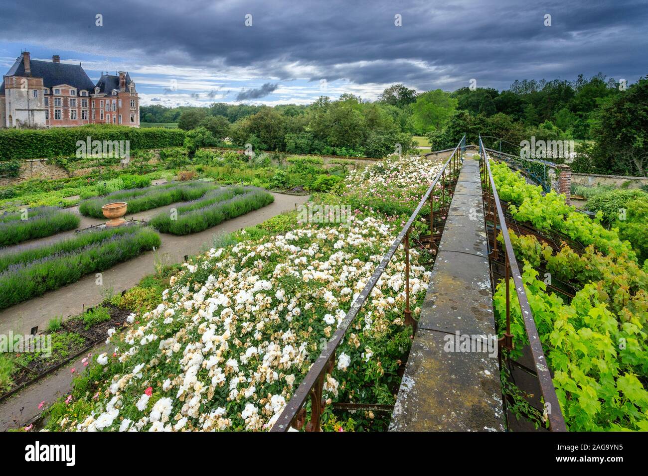 Francia, Loiret, la Bussiere, Chateau de la Bussiere Parco e giardini, orto, vista dalla cresta della vecchia serra ricoperte di vitigni di una Foto Stock