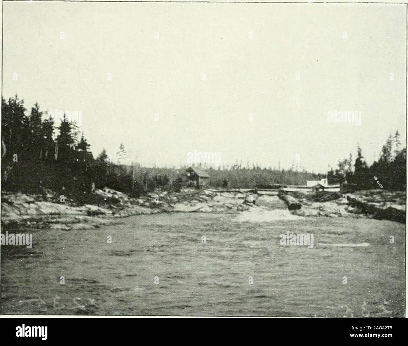 . Asta e pistola. ma non evenour coscienze disturbato il nostro riposo. La mattina si alzarono, ma tuttavia più tardi altodel alci uccelli, che già aveva scoperto che il nostro zucchero-prosciutto crudo è stato di un marchio di approvazione. Jim, su thatbright frosty mattina era in alcuna fretta di iniziare la caccia.Egli stava vivendo una nuova sensazione, avendo appena discoveredthat tluid carni bovine con abbondante pepe in esso è un calmante con-coction, e divenne ben presto evidente che egli aveva sinister designson il resto del nostro stock. Indian favole, legendsconcerning tutti animati cose noto al grande northernwouds, f Foto Stock