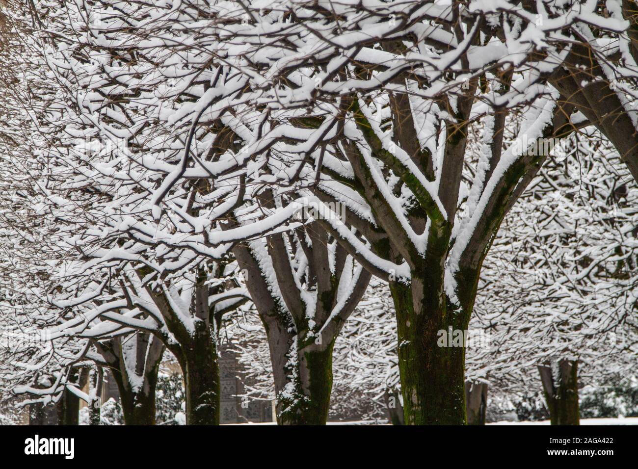 Parigi sotto la neve, Francia Foto Stock