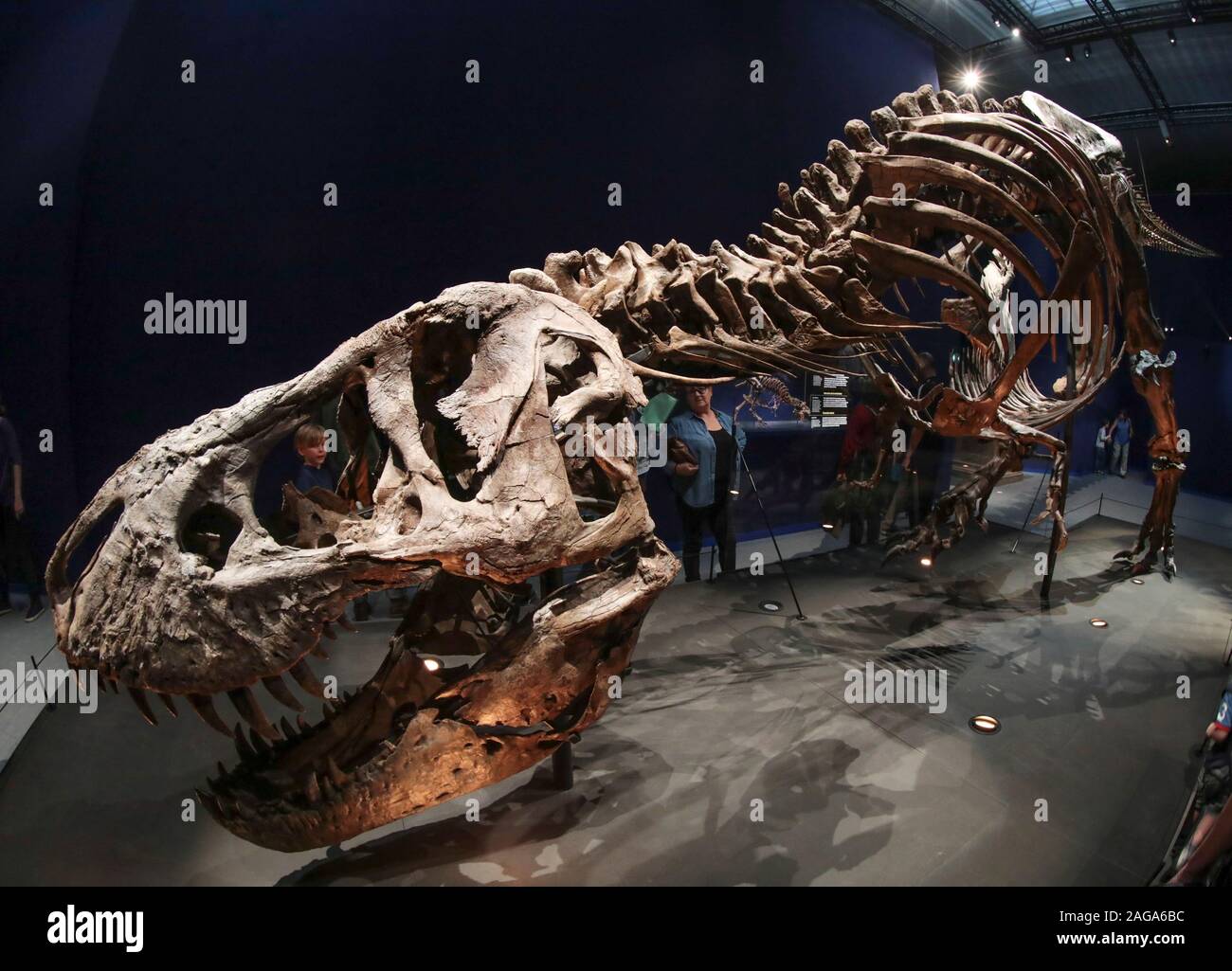 Un T-Rex di Parigi Foto Stock