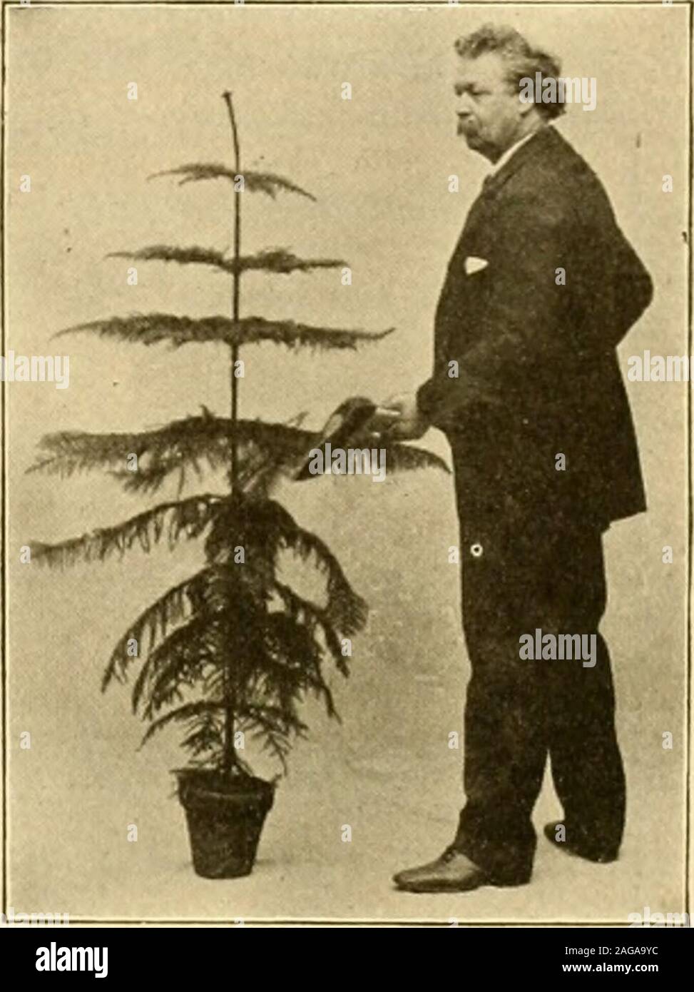 Nr 0 48 35 immagini e fotografie stock ad alta risoluzione Alamy