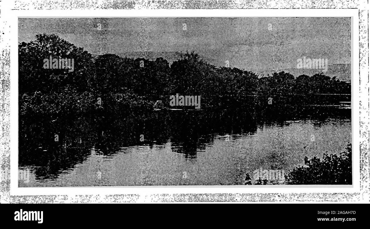 . Meglio Binghamton; una relazione al Mercantile-Press Club di Binghamton, N. Y., settembre 1911. Sito di South Side Park, guardando ad ovest da New Street. Vista distante che mostra gli alberi sul sito del lato sud Park è stato fatto. Si tratta di un lodevole impegno, degna dello spirito che si remake Binghamton; e ancora, di tutti i miglioramenti possibleriverbank nella città, questo è quello che sarà, atonce, beneficiare il più piccolo numero di persone e richiedono la longestto completa. La città dopo aver osato per intraprendere questo, shouldnot esitate concernente la banca del Nord progetto. Né avente m Foto Stock
