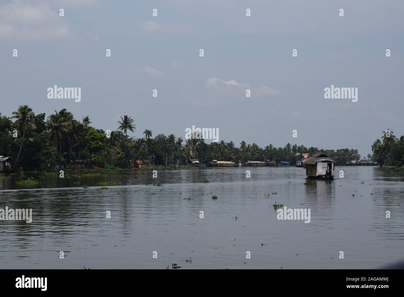 Backwaters di Alleppey Kerala Foto Stock