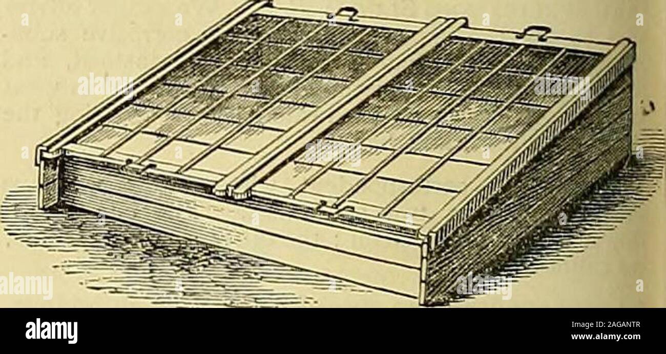 . I giardinieri' cronaca : un settimanale illustrato ufficiale di orticoltura e allied soggetti. Illustrazioni, i listini dei prezzi e le testimonianze libero. Apparecchiatura Hot-Water fissata in qualsiasi parte di theKingdom e garantito. Primo premio medaglia al Grand International HorticulturalExhibition, Manchester. Inviare per indicazioni di W. RICHARDSON & CO., orticole costruttori & Hot-Water Engineers,DARLINGTON.. CucumDer frame. R HALL HO GIORNO E CO. desiderio di• una particolare attenzione alla loro telai di cetriolo,di cui essi hanno sempre un grande magazzino, pronto andpainted vetrato. Essi sono realizzati con i migliori materiali e Foto Stock