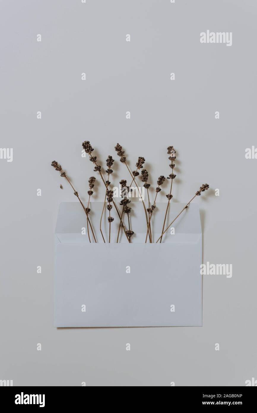Colpo verticale di fiori secchi in una busta bianca attaccata al muro Foto Stock