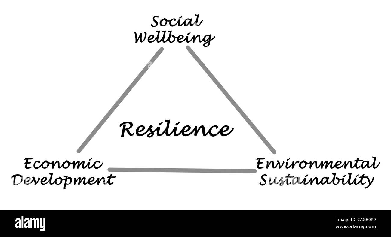 Schema della resilienza Foto Stock