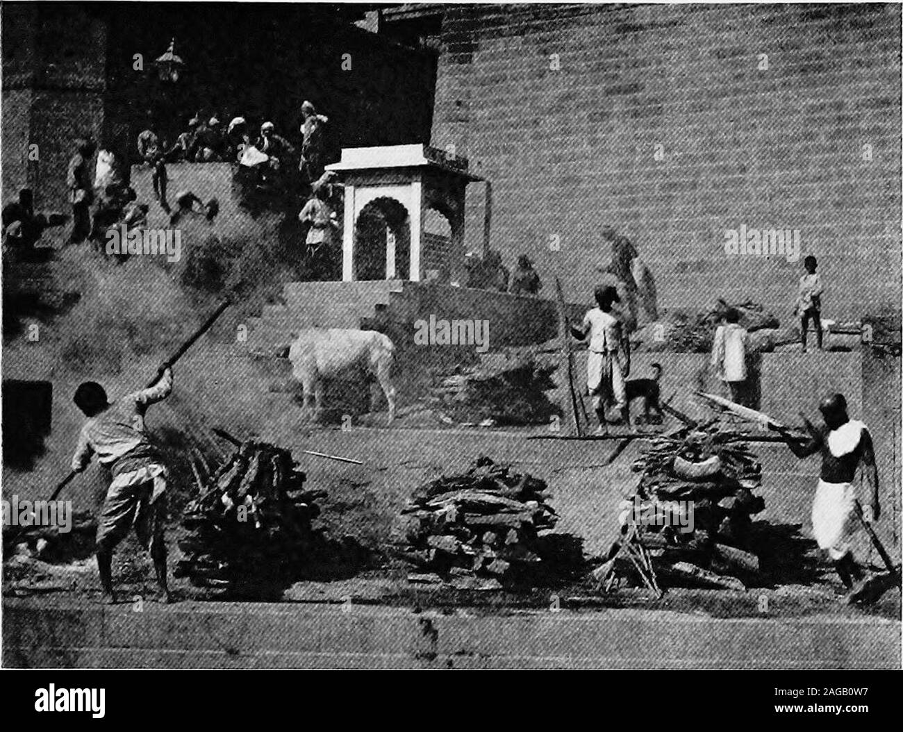 . Dove la metà del mondo si sta svegliando; il vecchio e il nuovo in Giappone, Cina, Filippine, India, ha riferito con particolare riferimento alle condizioni americane. e appena menzionato, Ihad una interessante intervista a Madras che dovrebbe shedsome luce sull'agricoltura indiano. In Madras Presidenza, mi disse, coltiviamo 10,-000,000 acri di riso, che è il cibo preferito del popolo.come è costoso rispetto ad alcuni alimenti più conveniente, tuttavia,la gente ha messo 4.500.000 ettari ad una sorta di sorghimi - non thesorghum coltivate per lo sciroppo di zucchero o ma per il seme di essereusato come un grano di cibo - e als Foto Stock