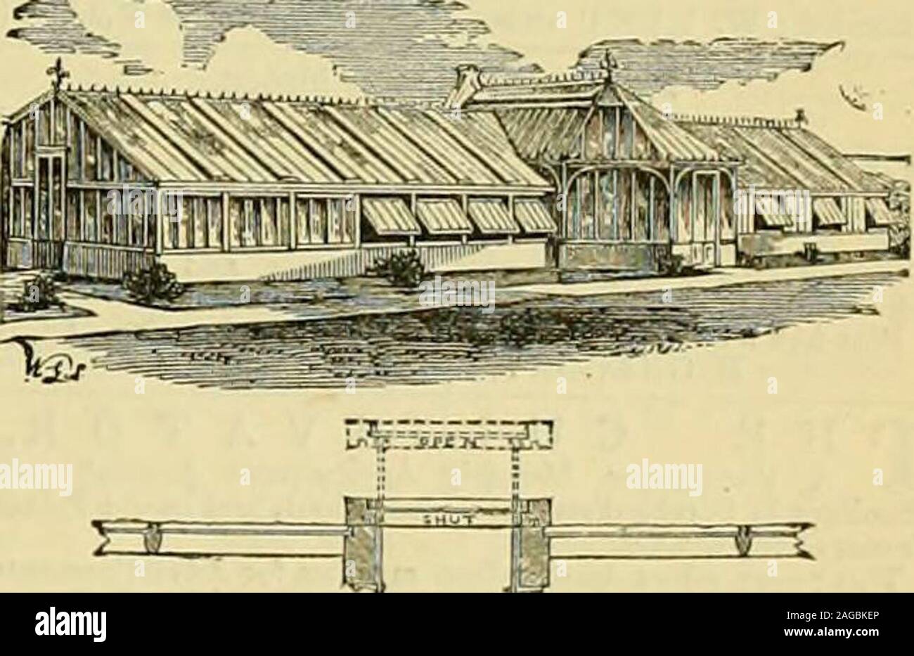 . I giardinieri' cronaca : un settimanale illustrato ufficiale di orticoltura e allied soggetti. Le caselle del giardino e le luci sono generalmente tenute inStock, e Case di legno adatto per store-case,l'attrezzo-case, &c illustrato fogli inviati, post-free, sull'applicazione. Il brevetto RICHARDSONS edifici orticola. La SEZIONE DEL TETTO DI BREVETTO VENTIU^TOR. Ilttntrations, i listini dei prezzi e le testimonianze libero. Apparecchiatura Hot-Water fissata in qualsiasi parte del Regno e garantito. .Inviare per indicazioni di W. RICHARDSON & CO., orticole costruttori & Hot-Water ingegneri, Darlington. Serra/ infissi, 6 piedi da 3 piedi. Foto Stock