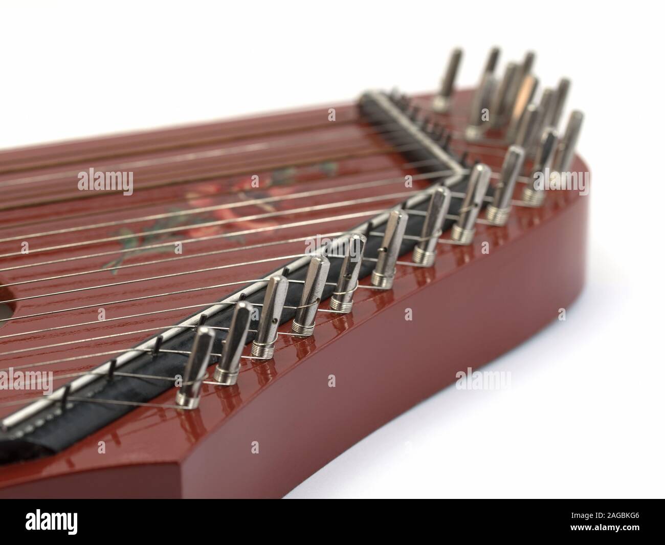 Cetra in un close-up Foto Stock