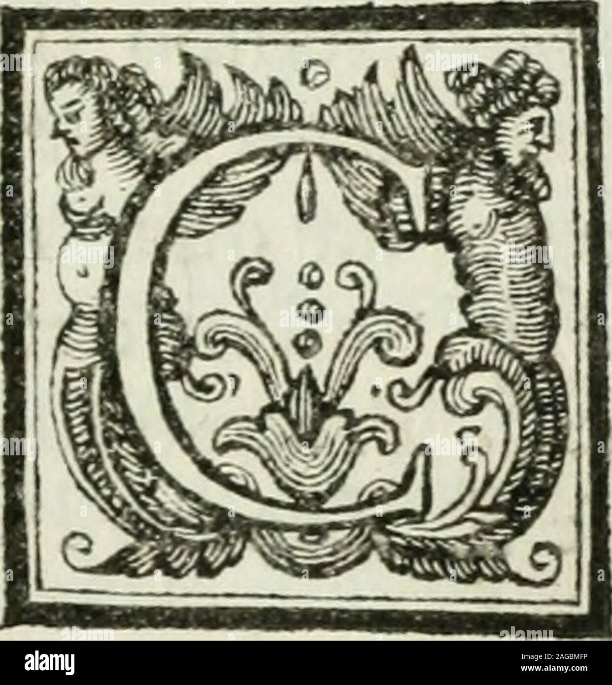 . Verona illustrata. DEGLI SCRITTORI VERONESI LIBRO SECONDO Tiel quale Jt regiftram li fioriti ddtempi Bj&GT;mani al 1400. ANONIMO PIPINIANO Oli* Imperio, e con la li bertà-fi perdettero ancheil valore, e le lettere. Av-viliti gli animi, anneghi-tito lo fpirito , imbarba-rita la lingua, per cflèrfe-ne difmeffa generalmentequella col tura e quello ftudio, chera necef-fario per ufarla un fcrivere, contentandofi del-la fcorretta e plebea che bada va a parlare,pochi fi videro per gran tempo che ambif- jfero. In modo De gli scrittori Veronesi fero il nóme d autori. Lacuna di fecolici convien però lontano Foto Stock