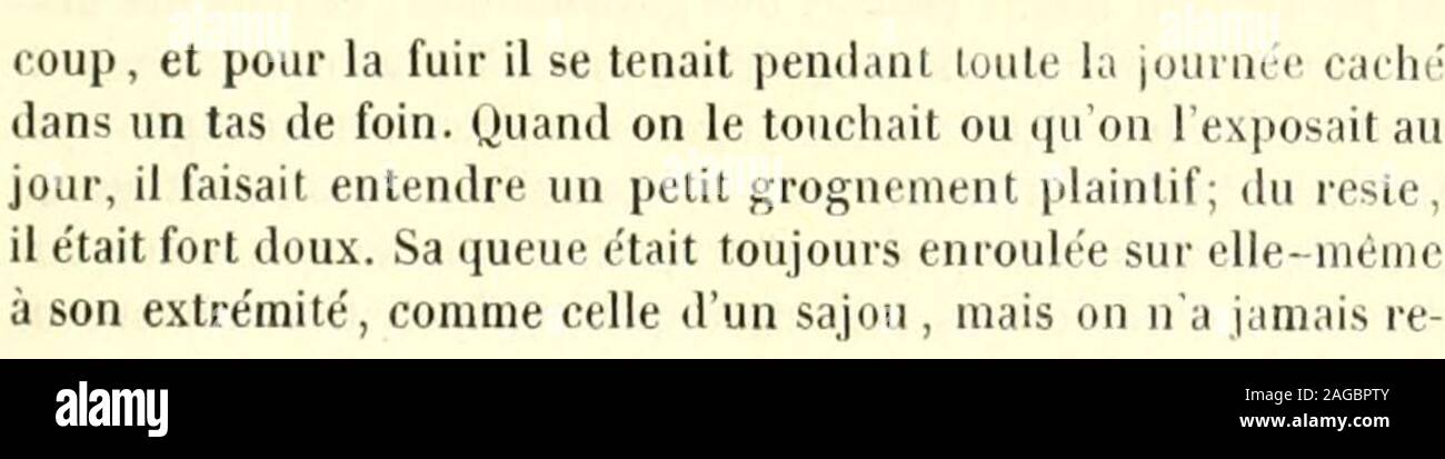 . Le Jardin des plantes : descrizione. J.c. lorc-Epic de Alahiooa.. Foto Stock