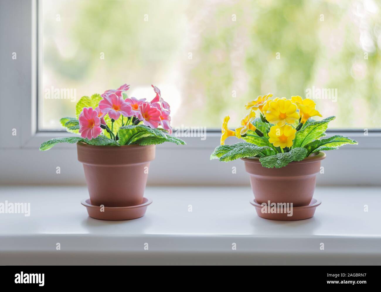 Orticoltura hobby. Due fiori in ceramica vasi con rosa e giallo primrose fiori su un bianco davanzale con vista la natura Foto Stock