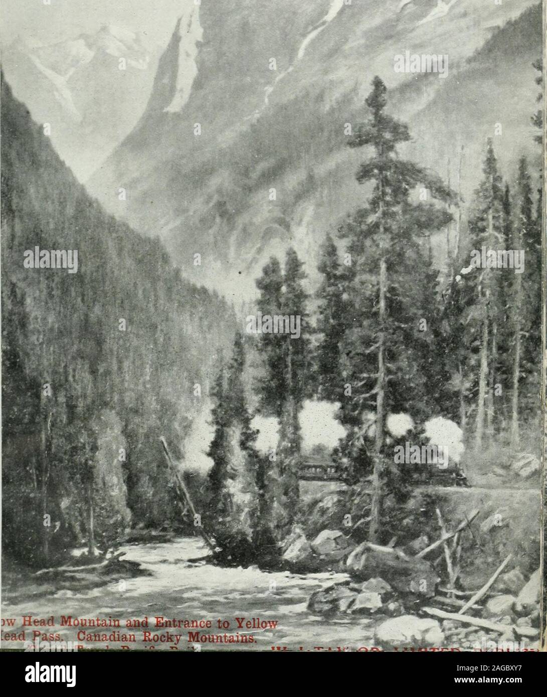 . Asta e la pistola. IN - CANADA. [Esd Pasi. Canadian E,ocky Mouniaiiis. -""JL  J ? -T-^ r:&LT;^-. Fox scientifica del meccanismo di bloccaggio. TIlc F(i iiul iiiilv lias piastrella .siiiipU"l liK-k iiirili;ONU.&GT;ui ui anyliroarm niailp. ma è constnicteil 0:1 striitlv soieiitilic |iiiiici-PLE. Il metallo di lianimer è così distiilniteil come a fjive ittlie i|uiokest possibile aetion e rende la rottura praeticallyimpossible. La Fox a colpi di martello diretto. eliminatin&LT;; theuse e &LT;lelay di erogare il colpo tlirougli un faticoso i)in. Thecocking della volpe lock è elVected mediante azione diretta sulla estensione thehammer Foto Stock