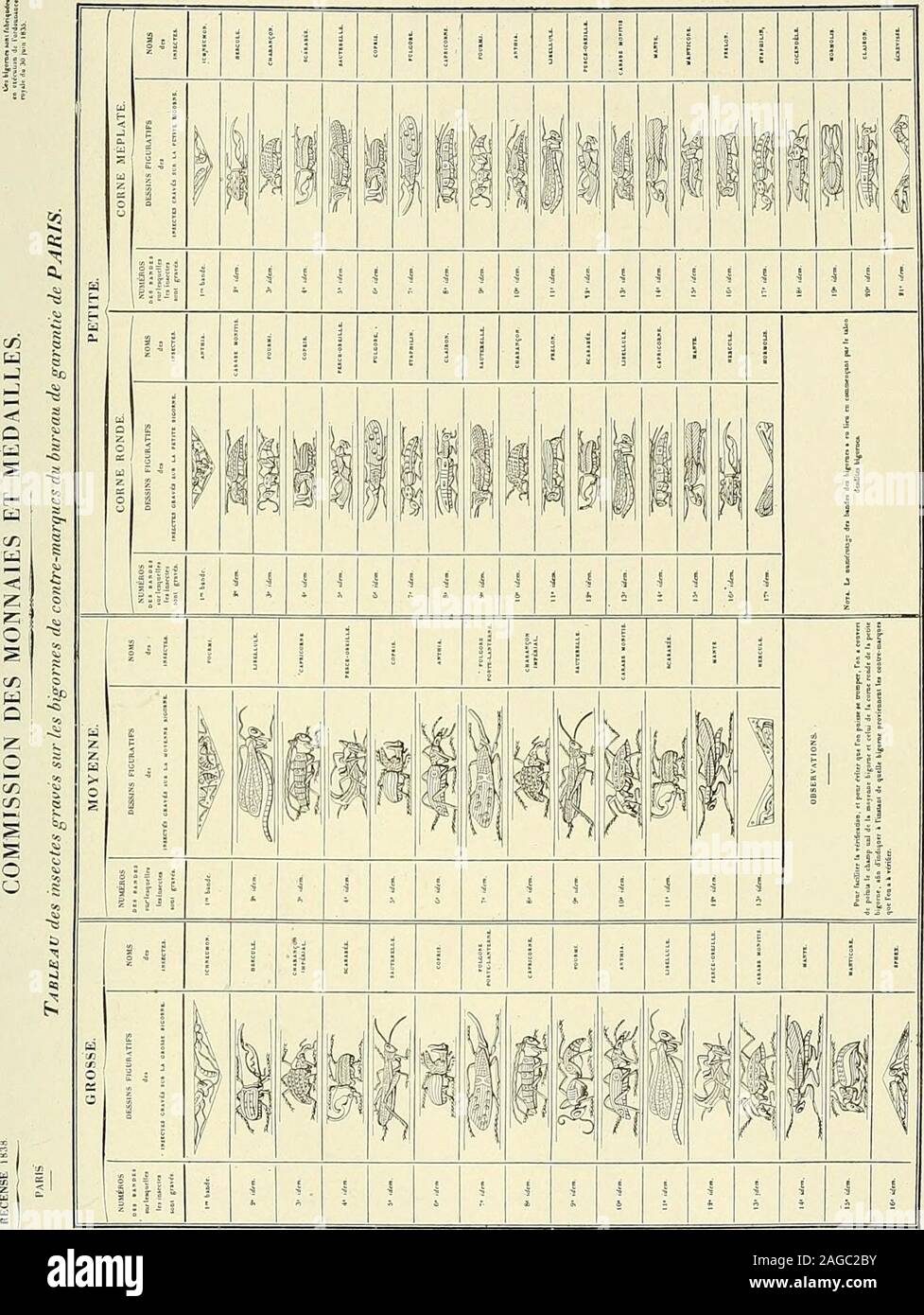 . Bulletin du Muséum National d'histoire Naturelle. Petite bigorne corne méplate. P. 418. Muséum. Pl. IX.. P. 618 Muséum. Pu X. io ho •11 s i i z i s o ? § I Cffl S zl 1 2 1 8 1 J Foto Stock