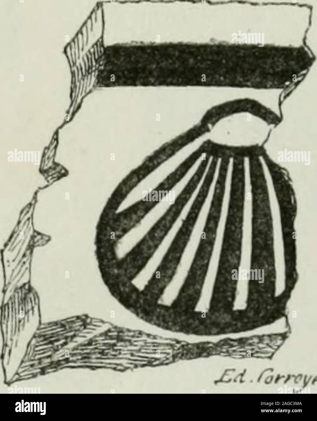 . Descrizione de l'abbaye du Mont Saint Michel et de ses abords : précédée d'une notice historique. 7. - Coquilles naturelles, ditescoquilles Saint-Michel.. 8. - Fragment dun carreau deterre cuite entaillée, daus trouvé les fouilles ou 1875. 1. Il faut remarquer que les coquilles qui se trouvent facilementsur la grève aux dintorni du Mont - non pas les coques blan-ches, mais les coquilles Saint-Michel - sont noires ou. de couleurbrune très-foncée. Ce sont celles qui du temps de Robert Jolivetet copiatrice devant les armes anciennes ont été reproduites commearmoiries de lAbbaye. Ces dernières coqui Foto Stock