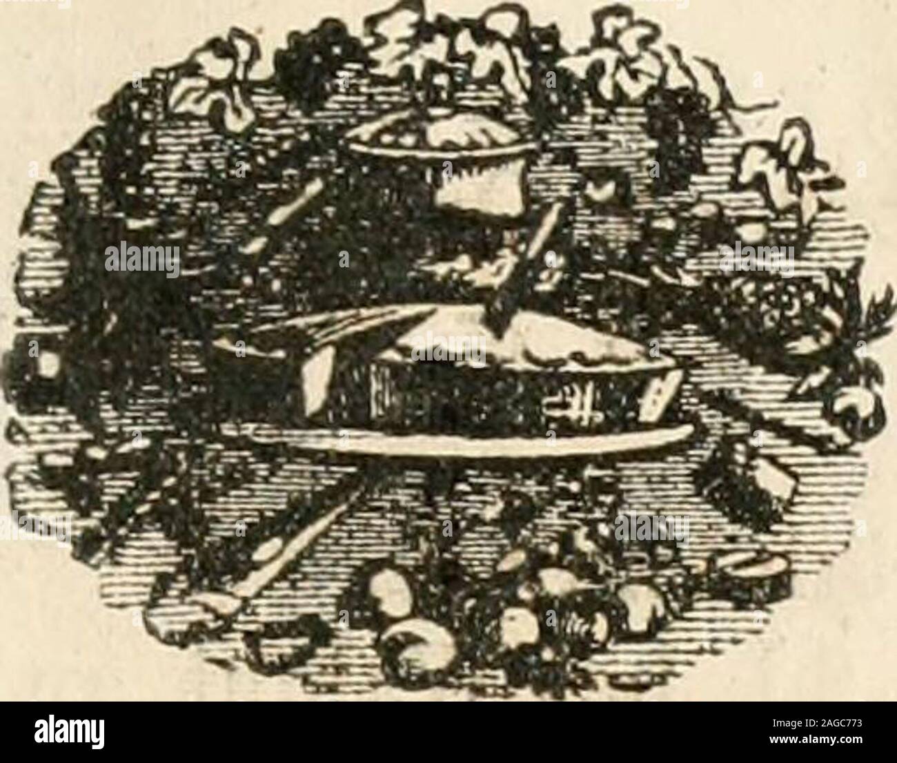 . Eglefino di Wilmington, N.C., directory e general advertiser : contenente un generale e business directory della città storica, schizzo, stato, provincia governo della città, &c., &c.. Isaac J, cik con la Williams & Miirchison. r Eed Croce, bet 5a e 6tli.Pickett, Marvão P. wid Tommaso 8, Icmrding honsr, anteriore, cor Eed Cross.PIGOTT, David, Tol-aceonist, 12 marcatore, r Hoiel NaUonal.Piner, Betsey, wid Lawrence, r Sth, nr Meares.Piner, Sallie, r anteriore, bel Dock. Pipkin, Archibald T, elk con un Oldham, r FroMt, bet Mul-berry e noce.Pishon, Annie M, insegnante in Hemmcnway Scuola Libera, r Eed lordo, essere Foto Stock