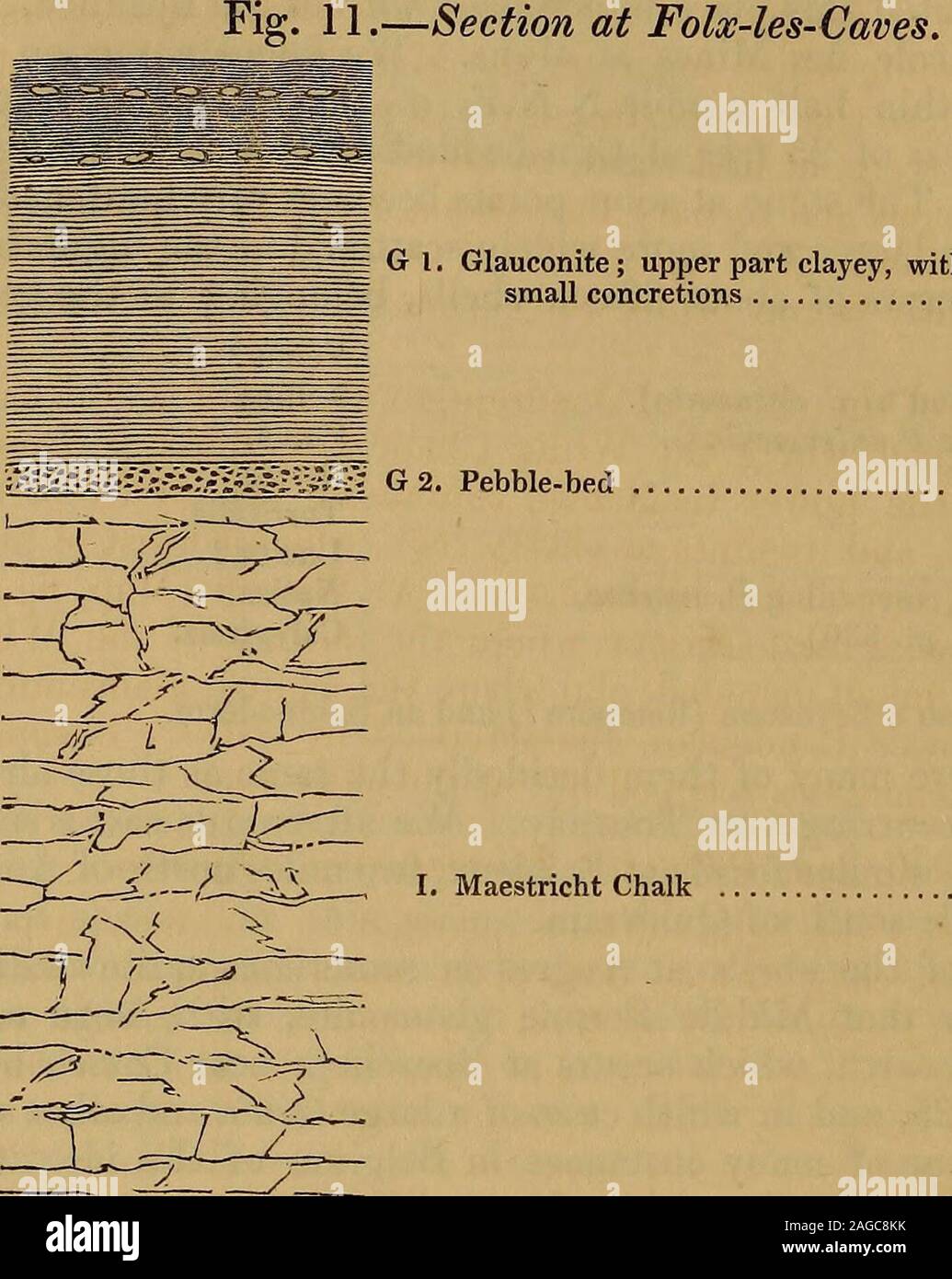 . La rivista trimestrale della Geological Society di Londra e ho visto questo per-mazione, si appoggia sul Maestricht Chalk, fig. 11 Io, che è therequarried alla profondità di 6 metri per l'edificio di pietra e exhibitsBelemnites mucronatus e altra caratteristica fossili. Chalk è coperta da un letto del laminato flint-ciottoli, alcuni di whichare 4 pollici nel loro diametro più lungo. Questo letto (G. 2), formando thebase del Landenian inferiore, è di 1 piedi di spessore, e supporta astratum (G. 1) di soft glauconite, 6 piedi di spessore, la parte superiore delle quali è argilloso e contiene alcune piccole concrezioni scuro che, liket Foto Stock