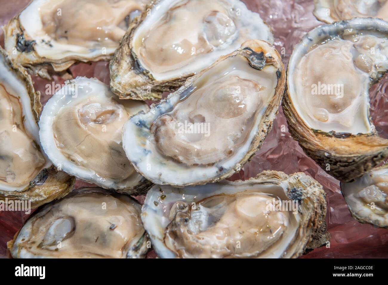 Materie ostriche servita sul semiguscio , Chesapeake Beach, Maryland, Stati Uniti d'America Foto Stock